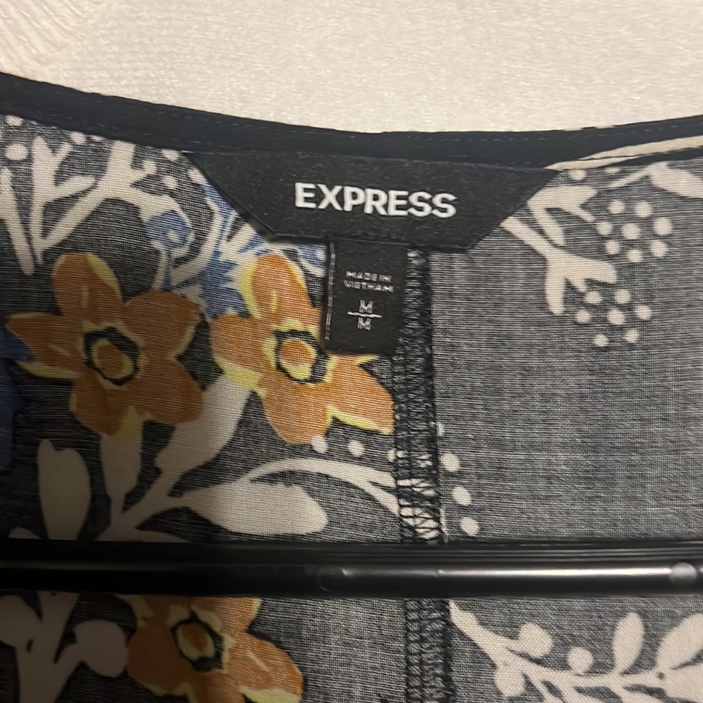 Express Dress - Picture 3 of 3